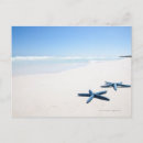 Search for blue shells postcards Tropical