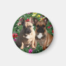 Recherche de vacances de pâques magnets Animaux