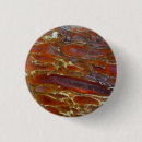 Search for fossilized bones buttons Close up