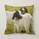 Recherche de chevres coussins Ferme