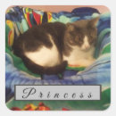 Search for domesticated stickers Pussycat