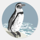 Search for humboldt stickers Penguin