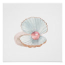Search for clam shells posters Nature