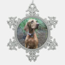 Search for vizsla ornaments Puppy