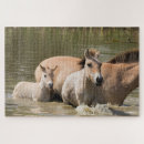 Recherche de jument puzzles Ranch