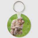 Search for balding keychains Hairless