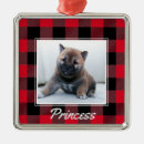 Search for logger ornaments Dog