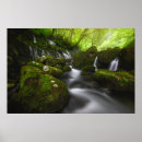 Search for waterfall posters Meadow