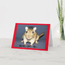 Search for gerbil cards Humour