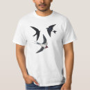 Search for swiftness Bird