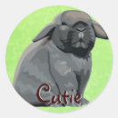Search for holland lop stickers Bunny