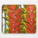 Search for janeiro mousepads Rio de janeiro