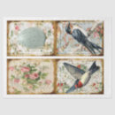Search for swallow Floral