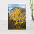 Recherche de feuille ginkgo vœux cartes Automne