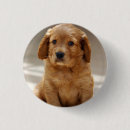 Recherche de marionnettes badges Mignon