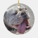 Search for hot dogs ornaments Cute