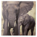 Recherche de tanzanie carreaux Environnement