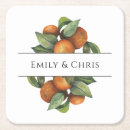 Recherche de agrume dessous de verres Botanique