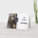 Search for great dane birthday cards Funny