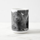 Search for cat shadow mugs Kitten