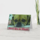 Search for pug puppy dog cards Puggle
