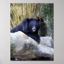Recherche de asiatique posters Animal