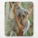 Recherche de ours koala tapis souris Animaux