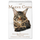 Search for maine calendars Maine coon cat