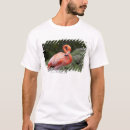 Search for three quarter length tshirts Wildlife