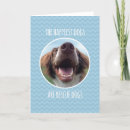 Search for adoptive cards Happy