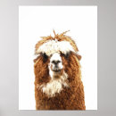 Search for alpaca posters Humour