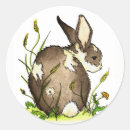 Search for woodland creatures stickers Bunny