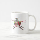 Recherche de crevettes tasses Odontodactylus
