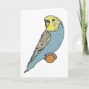 Search for budgie cards Budgerigar