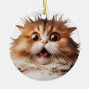 Search for persian ornaments Cat
