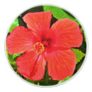 Recherche de hibiscus boutons et poignées de porte Fleur