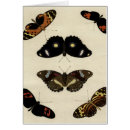 Search for cream background postcards Colourful