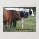 Search for herding group Cow