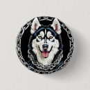 Recherche de husky badges Chiot