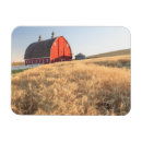 Search for magnetic fields cards Superstock