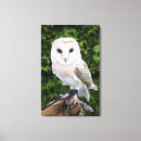 Search for barn wall canvas prints People