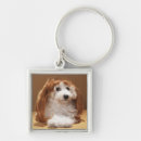 Search for individual keychains Studio shot