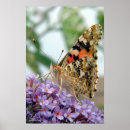 Recherche de insecte de dame posters Coloré