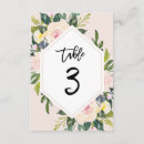 Search for number 3 Pink