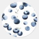 Search for blueberry stickers Simple