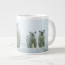 Search for the three bears mugs Animal