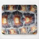 Search for tortoise mousepads Shell