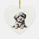 Search for havanese Winter