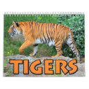 Recherche de felidae Chat