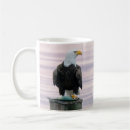 Search for bald eagles mugs Wildlife